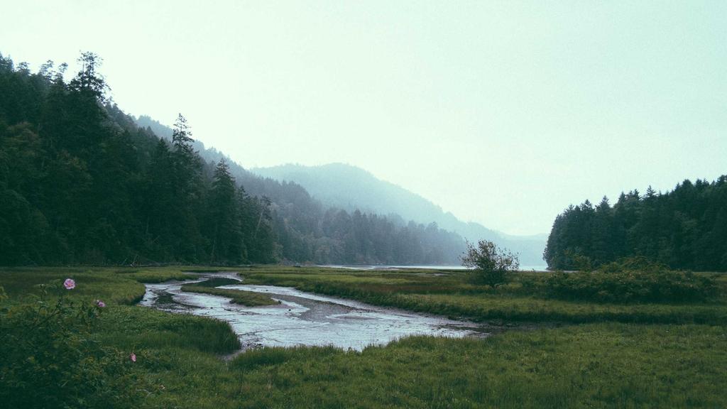 [2026 최신] 규제지역 다주택자 양도세 계산기, 내 경험으로 완벽하게 이해하기