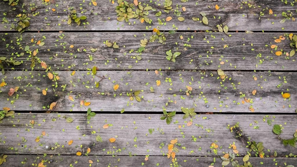 태양광 주택 보조금 신청 2026