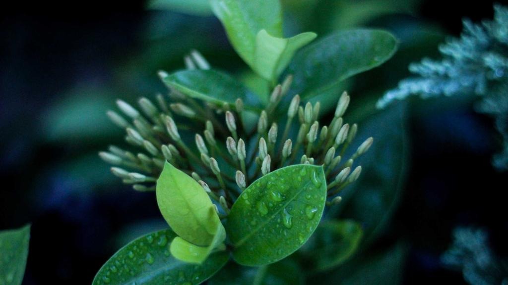 건강보험 본인부담금 환급 신청방법