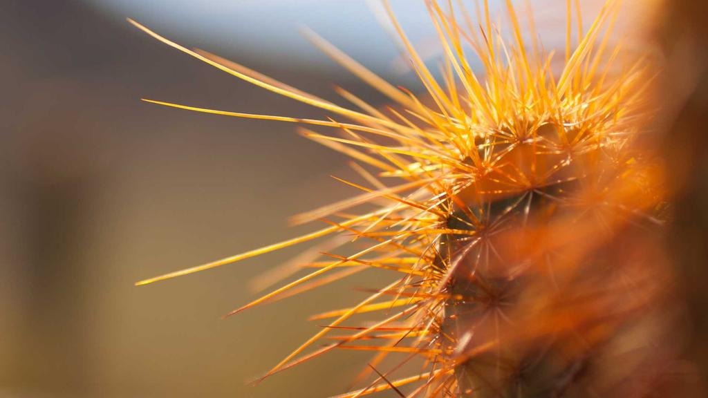 [2026 최신] 건강보험 본인부담금 환급 신청 완벽 가이드 (2026년 최신)