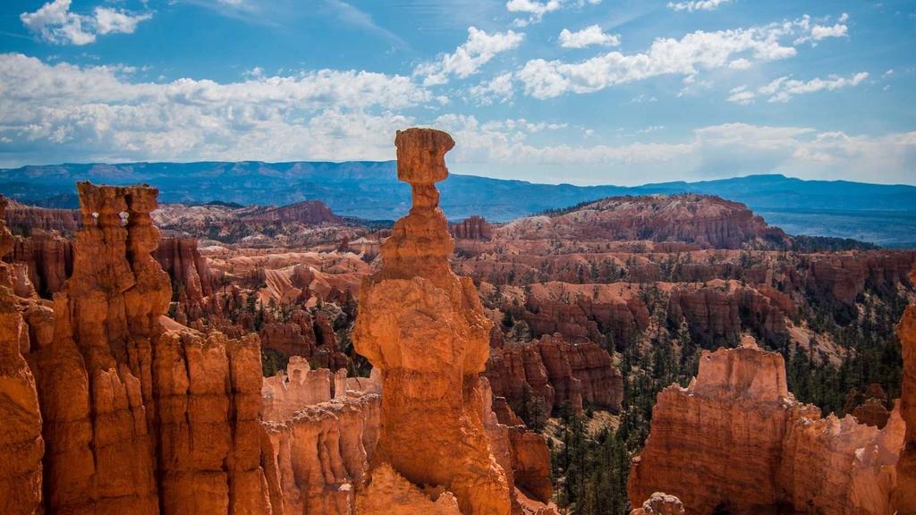1주택자 비과세 요건 보유기간 거주기간