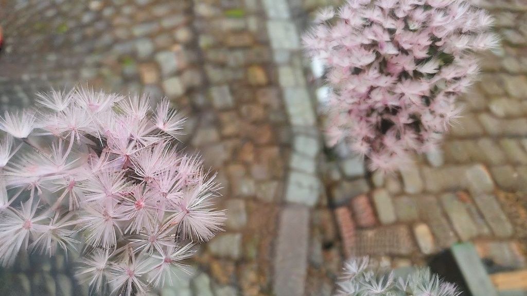 16개국 출신 35명의 유학생들이 한국의 상징적인 장소 앞에서 기념 촬영하는 모습